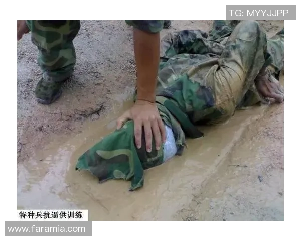 深圳排球队技术揭秘：从基础训练到战术运用的全景分析